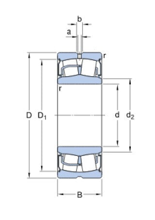 SKF BS2-2209-2RS/VT143 Wälzlager
