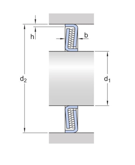 SKF Z 204 F Dichtscheibe