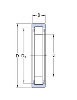 SKF RNU 205 ECP Wälzlager